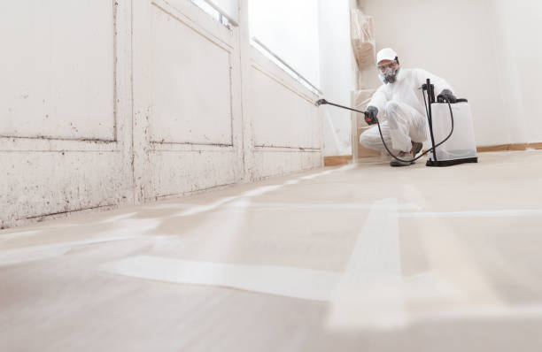 24/7 Emergency Bathroom Mold Removal experts in Capitol Heights, MD