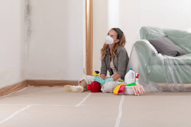 Reliable Bathroom Mold Removal contractor in Capitol Heights, MD by 24 Hour Mold Removal